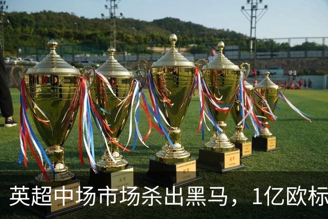 英超中场市场杀出黑马，1亿欧标王引红蓝狂抢